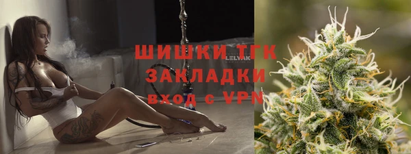apvp Пестово