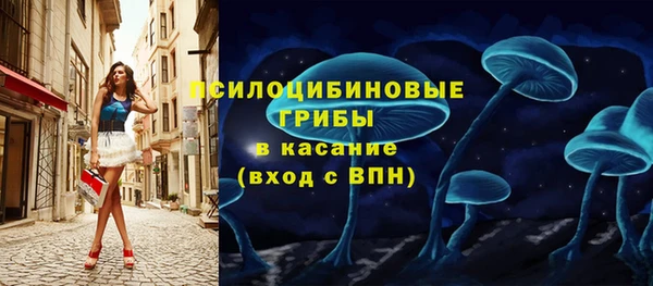 apvp Пестово