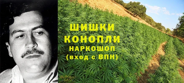 apvp Пестово