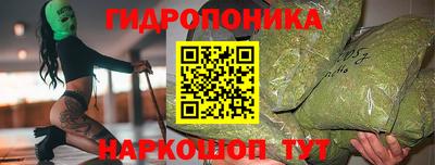 амф Новодвинск