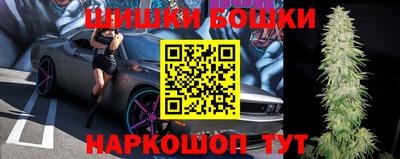 амф Новодвинск