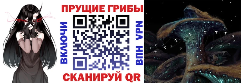 Галлюциногенные грибы Psilocybine cubensis  продажа наркотиков  Сызрань 