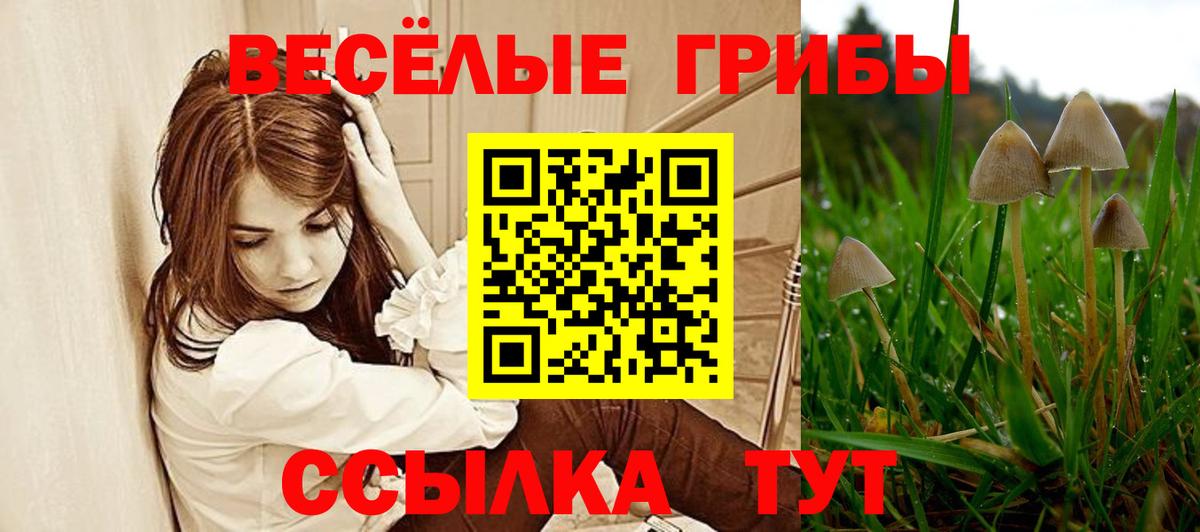 Псилоцибиновые грибы ЛСД  Вход с VPN  Сызрань  Псилоцибиновые грибы Magic Shrooms 